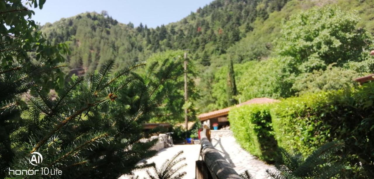 فيلا Petrina Theohari Lekhouri المظهر الخارجي الصورة